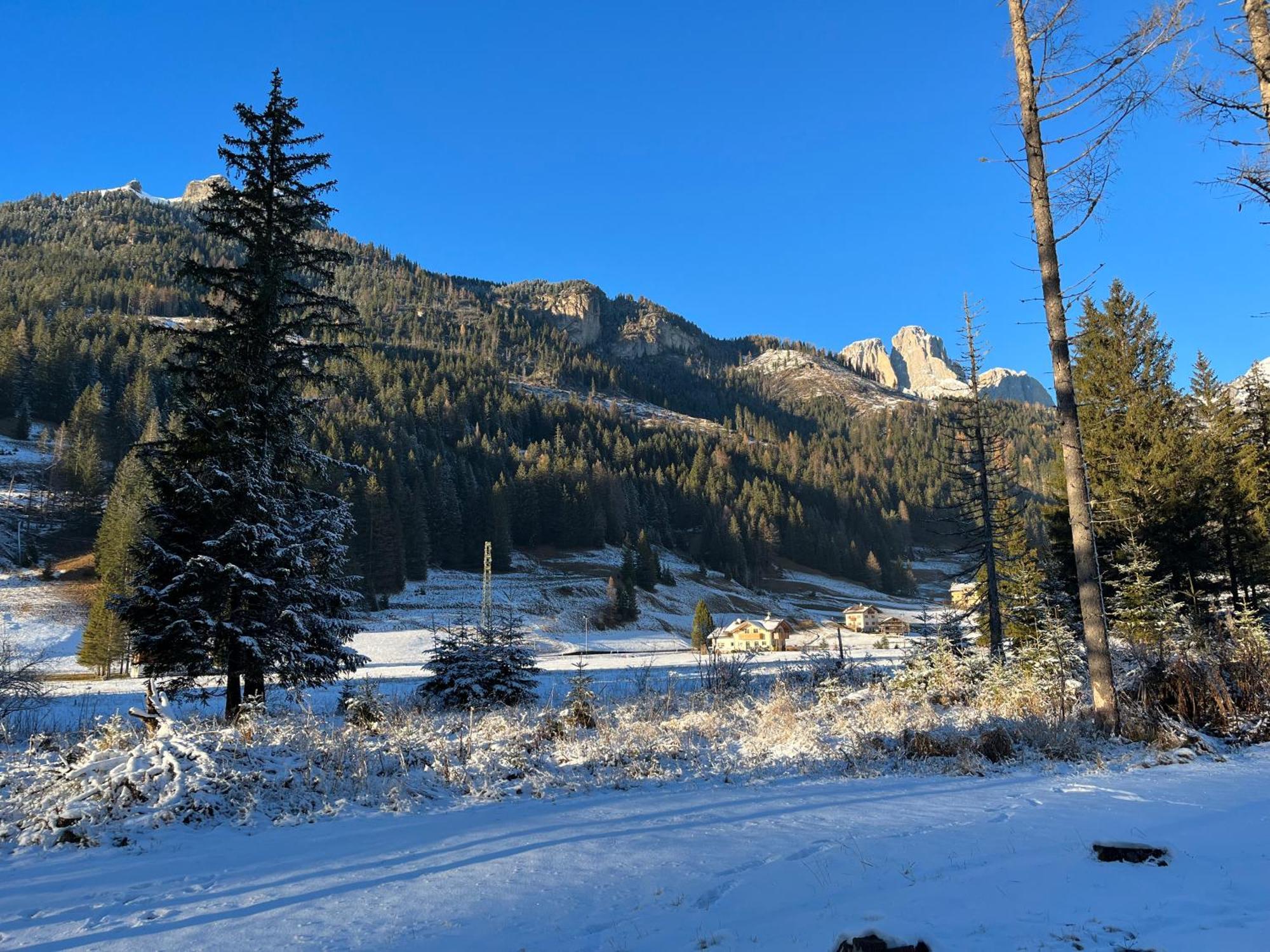 Mes Lastei Lägenhet Campitello di Fassa Exteriör bild