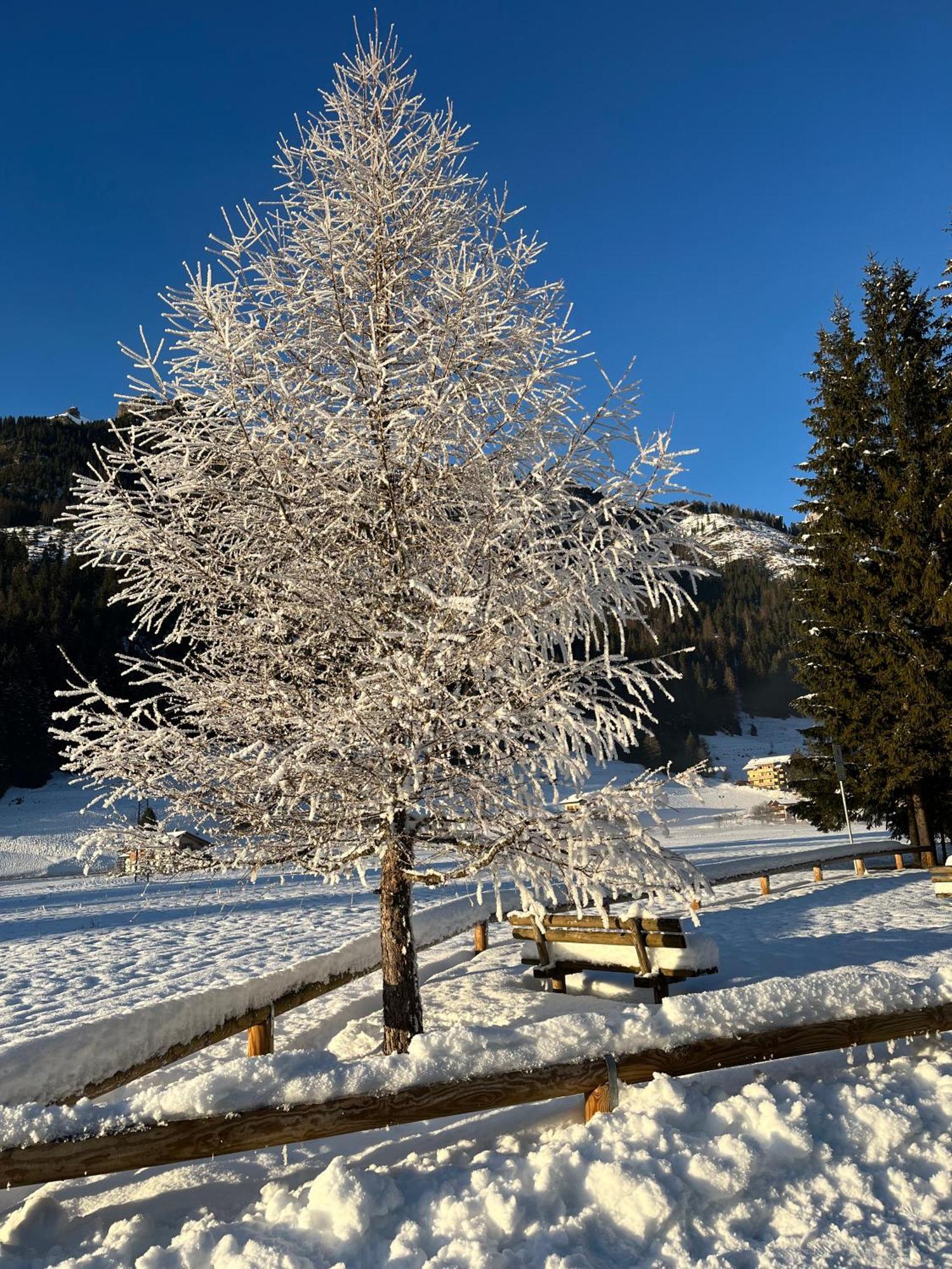 Mes Lastei Lägenhet Campitello di Fassa Exteriör bild
