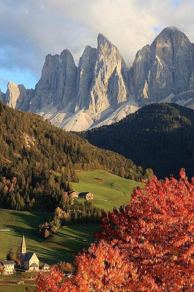 Mes Lastei Lägenhet Campitello di Fassa Exteriör bild