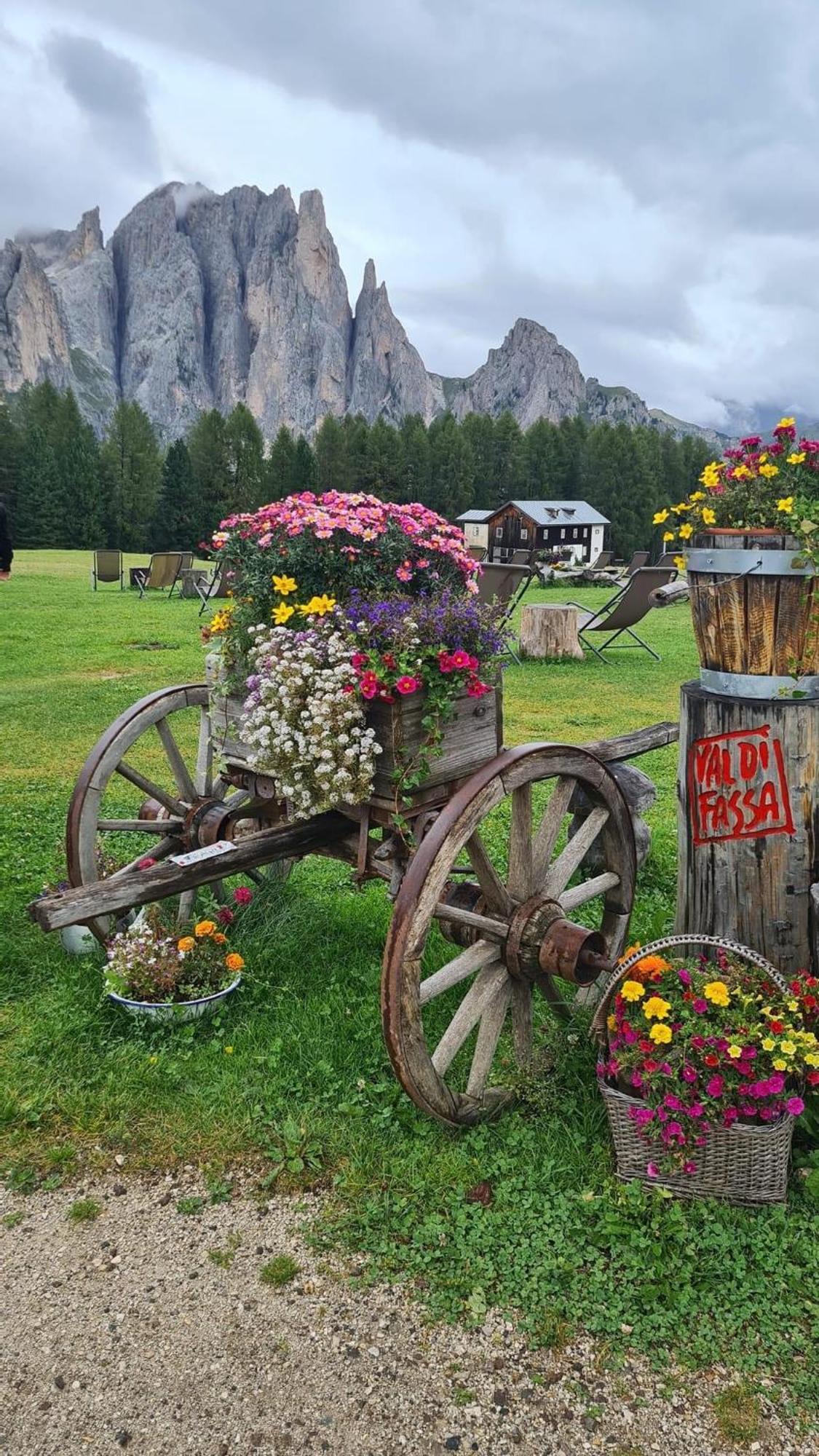 Mes Lastei Lägenhet Campitello di Fassa Exteriör bild